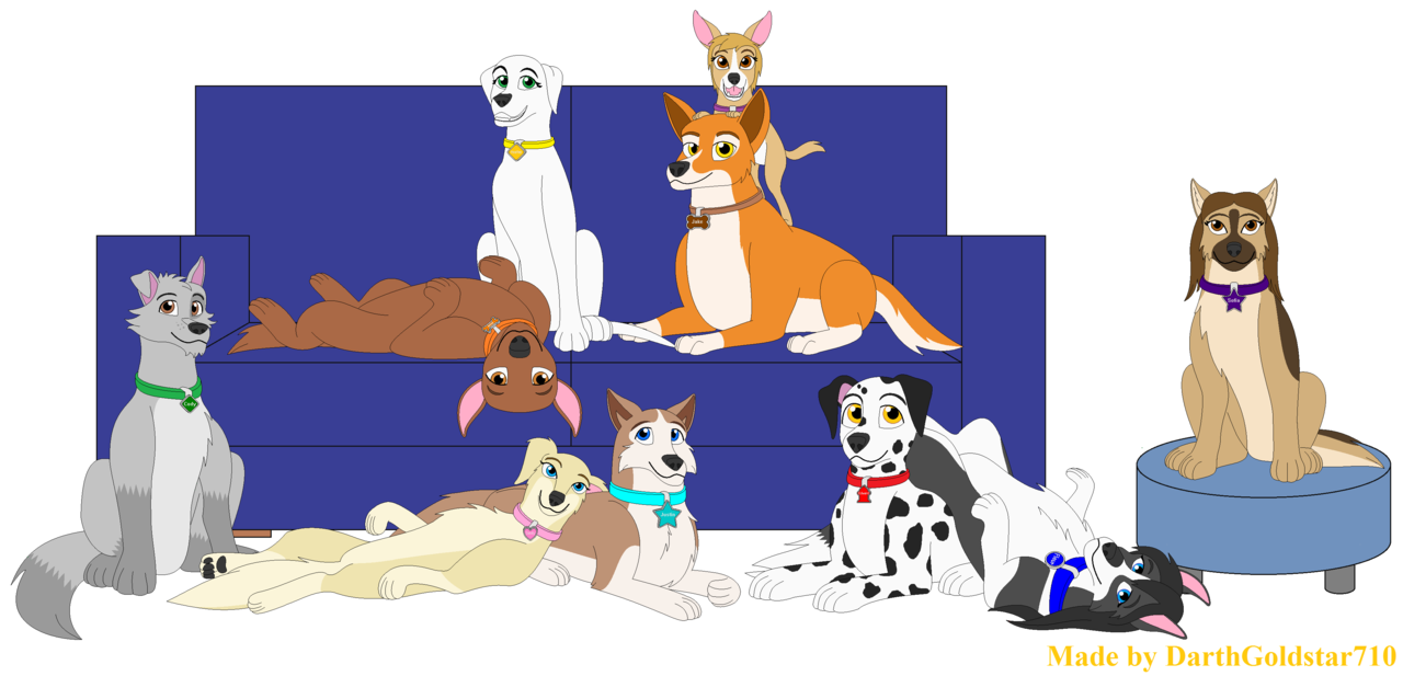 canine_squad_q_and_a_by_darthgoldstar710-d8kht4l
