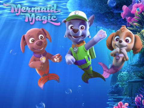 paw patrol pups save a mer pup dailymotion